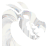 Category Icon