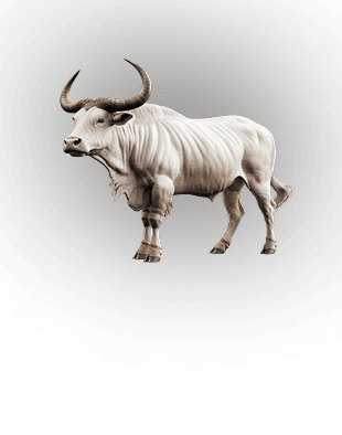 BULL sub