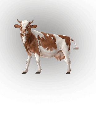 COW sub