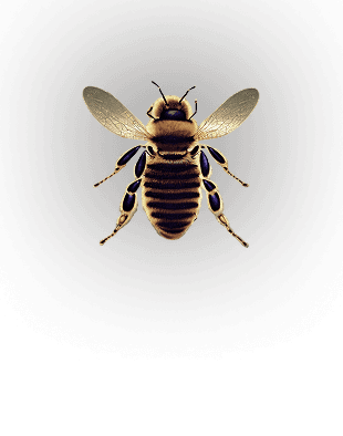 DRONE BEE sub