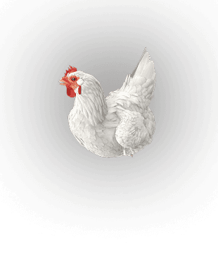 HEN sub
