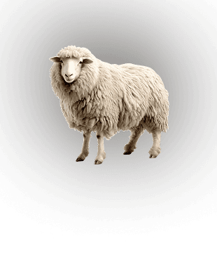 RAM sub
