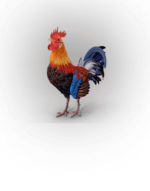 ROOSTER sub