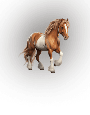 STALLION sub
