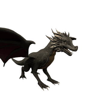 Dragon Skins sub