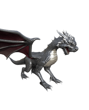 Dragon Skins sub