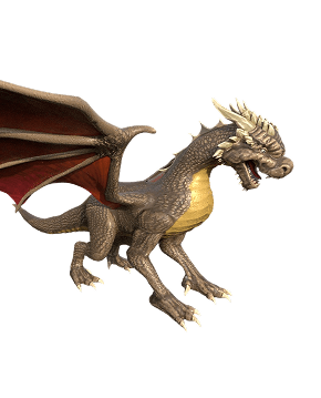 Dragon Skins sub