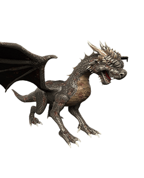 Dragon Skins sub