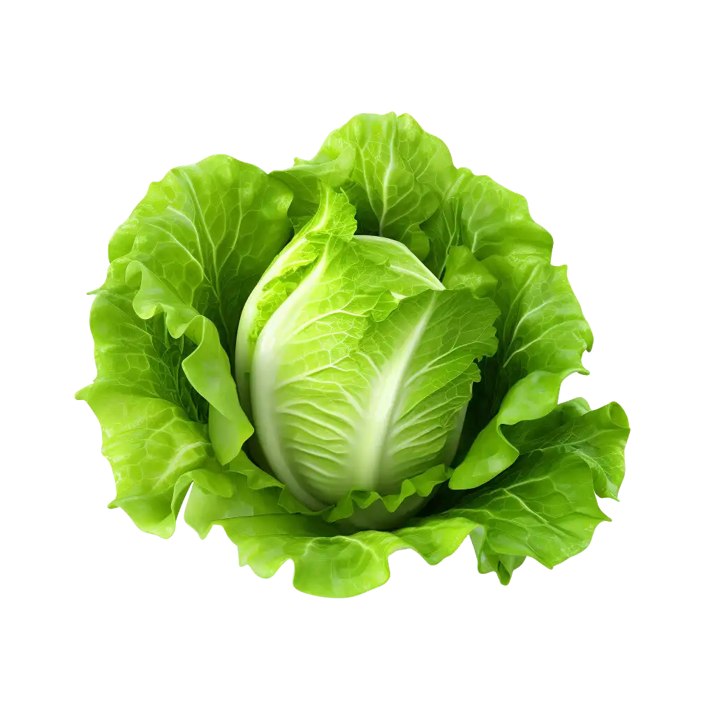 Floating Image